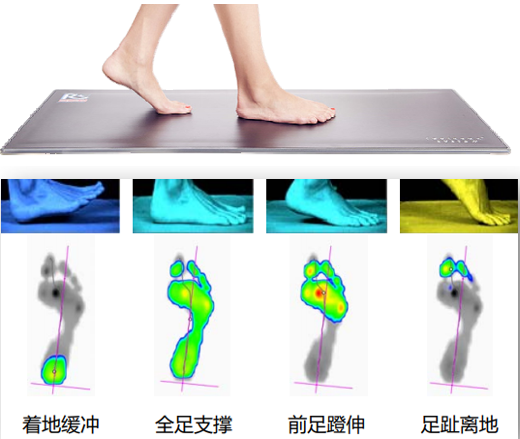 Footscan V9 足底壓力測(cè)試分析系統(tǒng)
